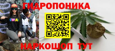 стаф Абакан