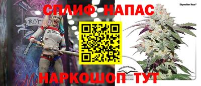 стаф Абакан