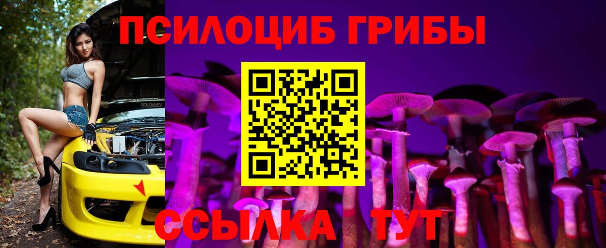 Псилоцибиновые грибы ЛСД Алейск